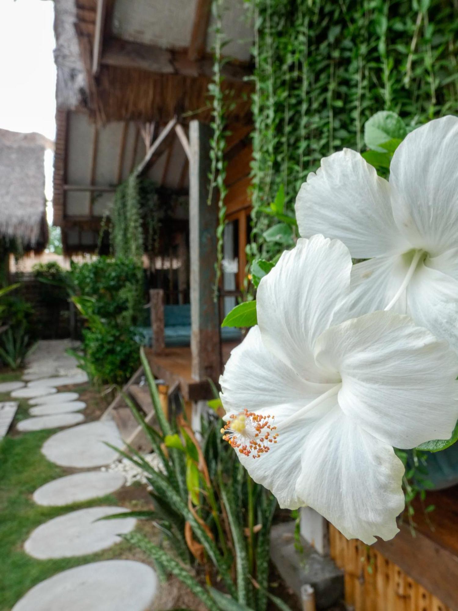 La Siesta Bungalows Only Adults Gili Air Exterior foto